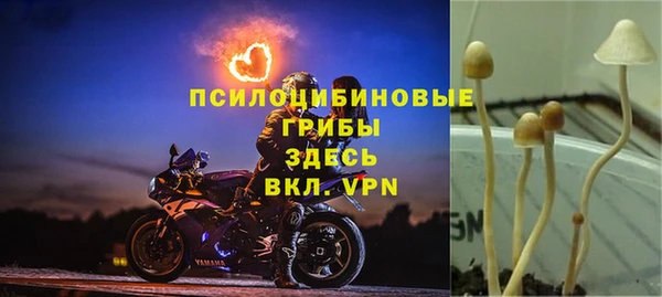 прущий лед Арсеньев