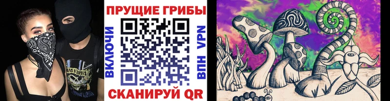 цена Приморско-Ахтарск Псилоцибиновые грибы прущие грибы